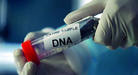 تحليل-DNA