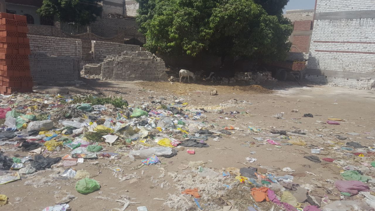 القمامة فى قرية طحا الأعمدة بالمنيا (2)