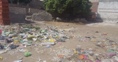 القمامة فى قرية طحا الأعمدة بالمنيا (3)
