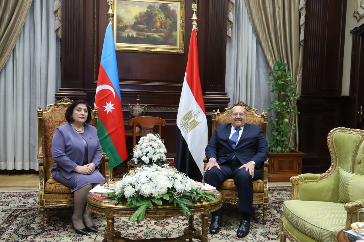  يستقبل رئيسة المجلس الوطني لجمهورية اذربيحان (5)