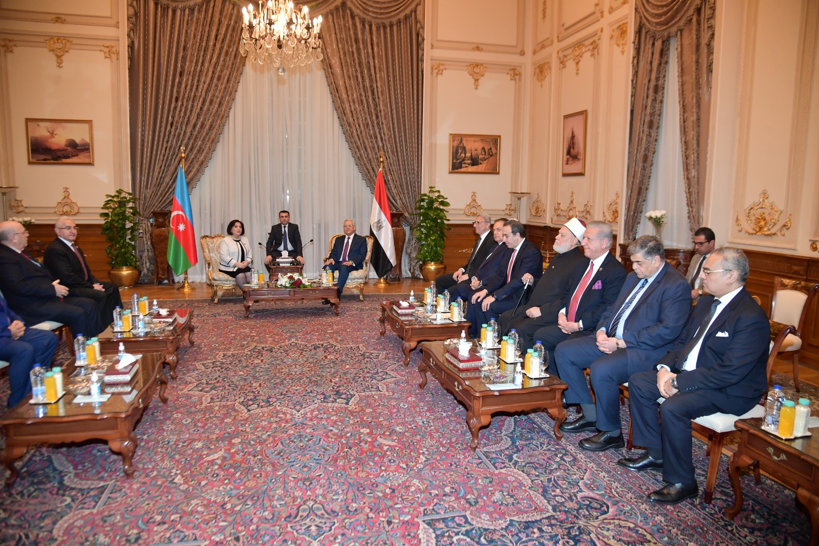 رئيس مجلس النواب يستقبل رئيسة برلمان أذربيجان (3)