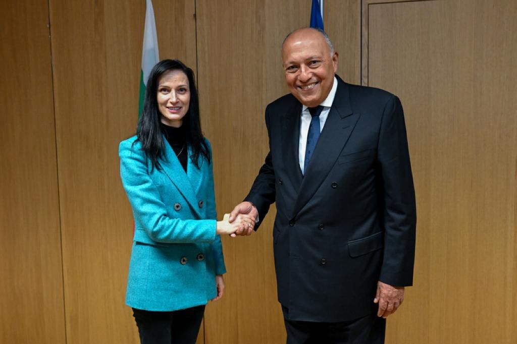59919-لقاء-الوزير-شكري-مع-نائبة-رئيس-وزراء-بلغاريا