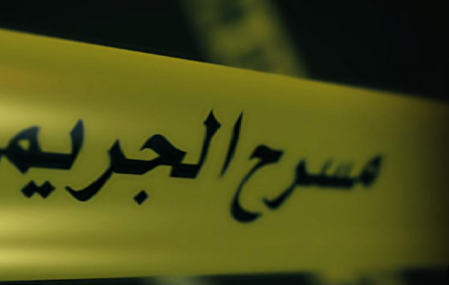الشريك 2