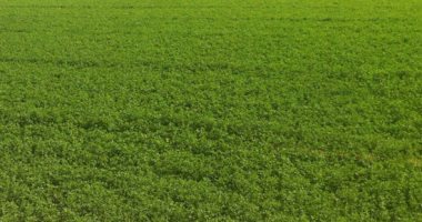 23115-202106171049444944 23115-202106171049444944