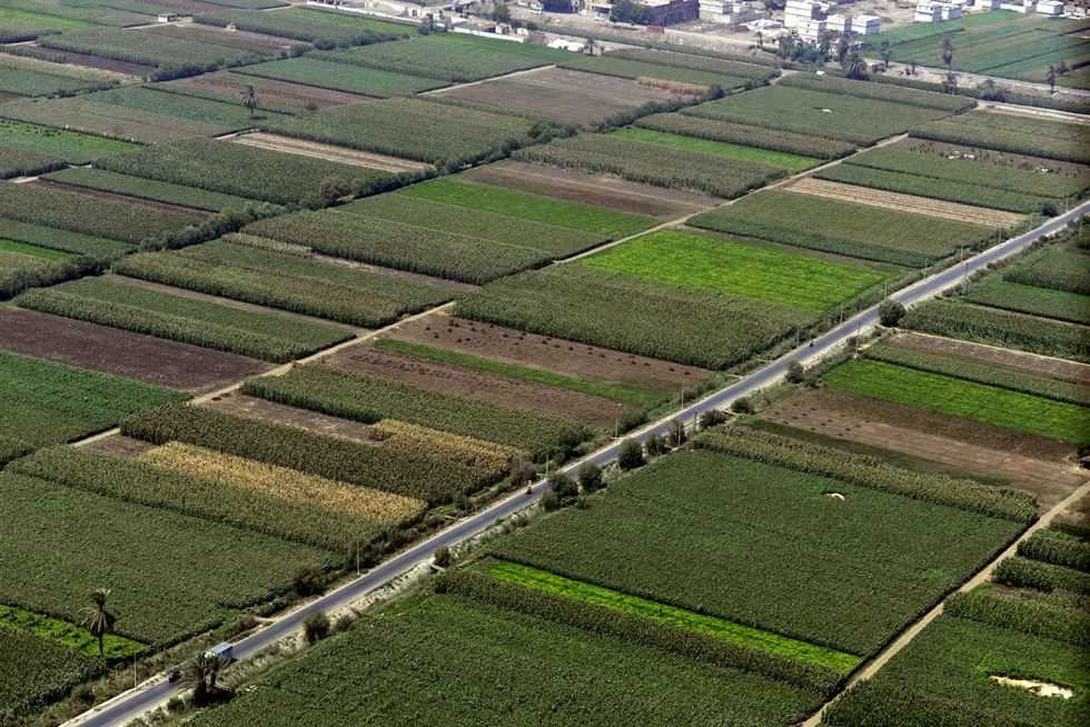 91138-91138-كيف-احصل-على-أرض-زراعية-من-وزارة-الزراعة 91138-91138-كيف-احصل-على-أرض-زراعية-من-وزارة-الزراعة