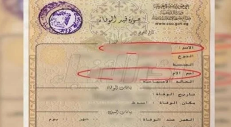 ظظسس