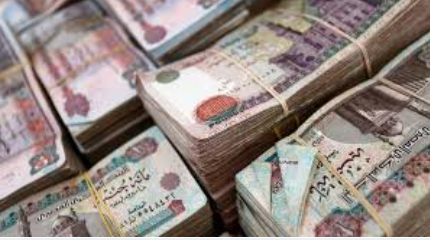 313126-313126-ززي