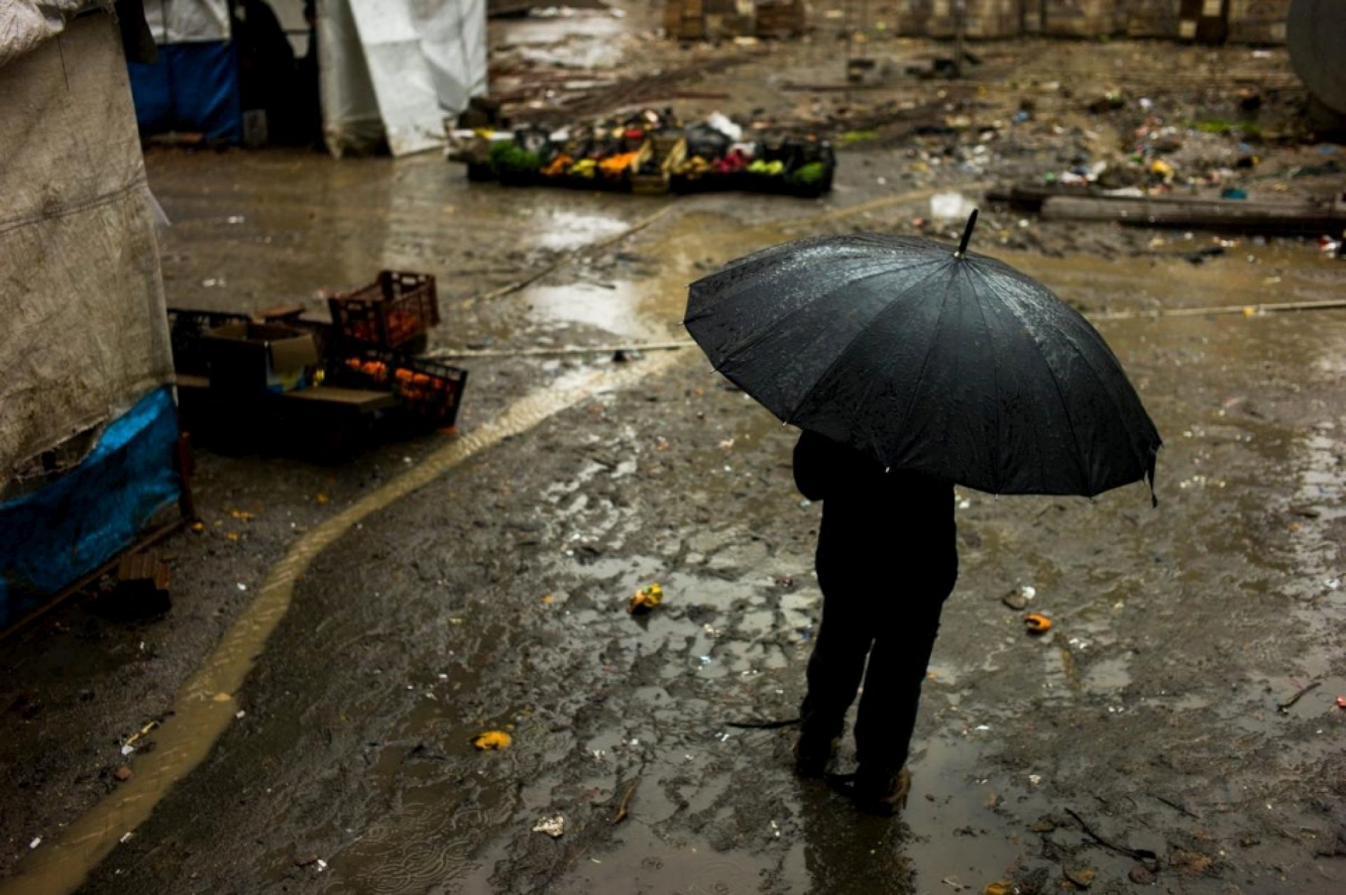 299910-299910-2ffb671bb6205aa31b1e4d30e06f9d46_XL 299910-299910-2ffb671bb6205aa31b1e4d30e06f9d46_XL