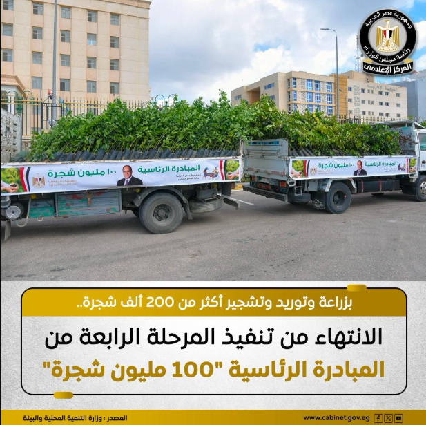 شجرة