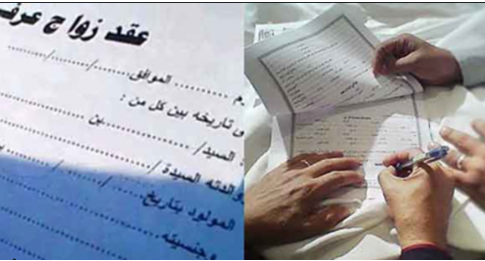 278178-صورة-2 278178-صورة-2
