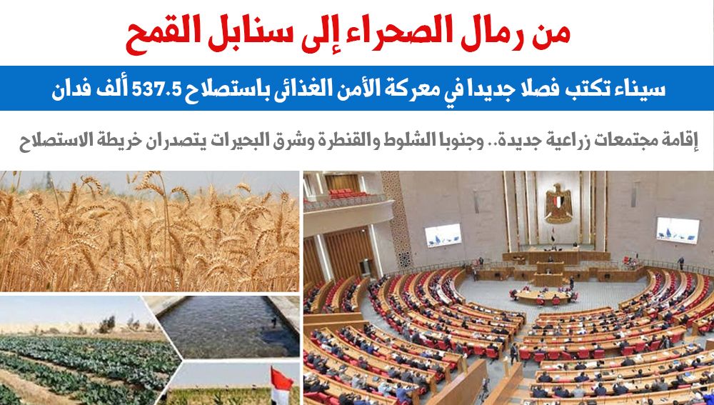 من رمال الصحراء إلى سنابل القمح