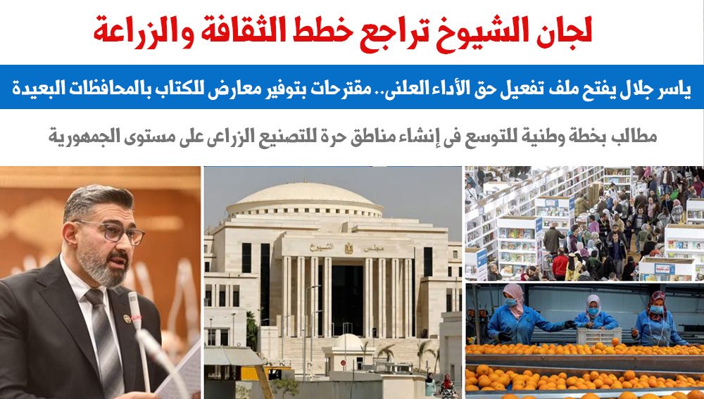 لجان الشيوخ