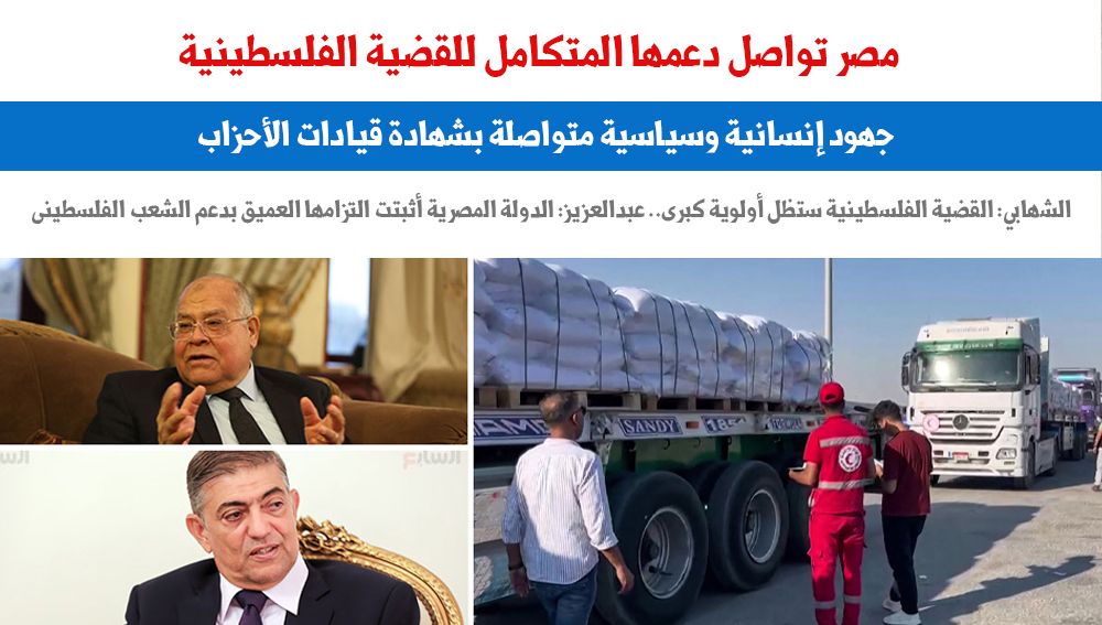 مصر تواصل