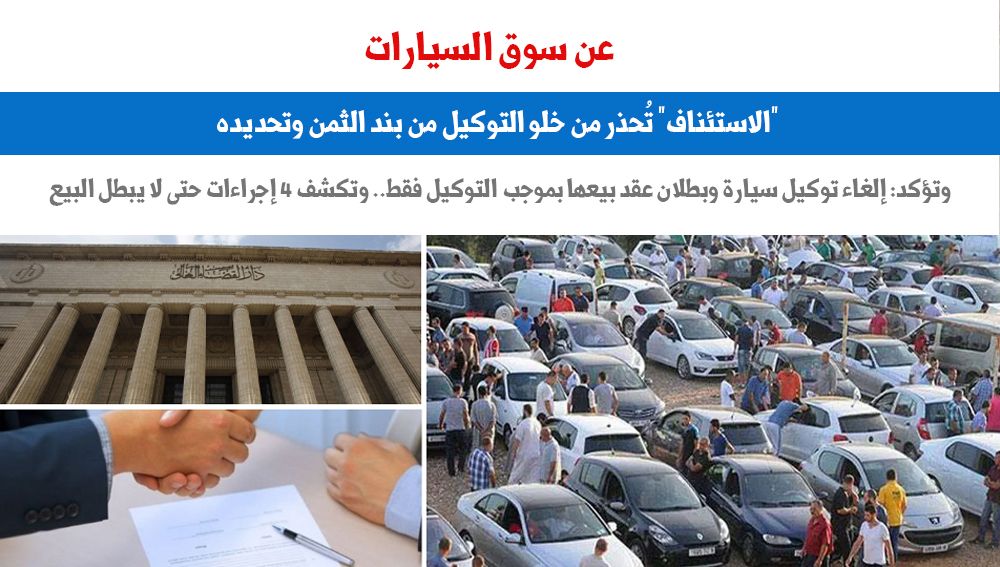 عن سوق السيارات