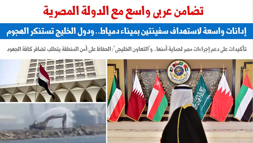 تضامن عربى