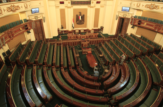 مجلس الشعب 2015 (2)