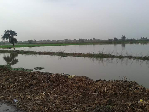 نائب النور في البحيرة يقوم بجولة مع الاهالي لحل أزمة السيو (4)