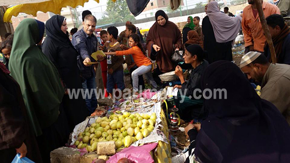 نوسيله أبو العمرو (12)