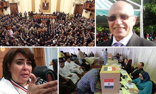 المصريون بالخارج يطالبون بتعديل الدستور (2)