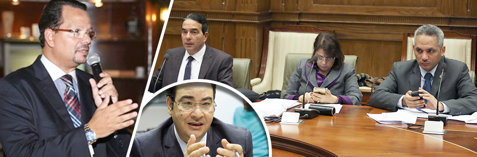 هل يتفرغ المصريون بالخارج للبرلمان؟ (2)