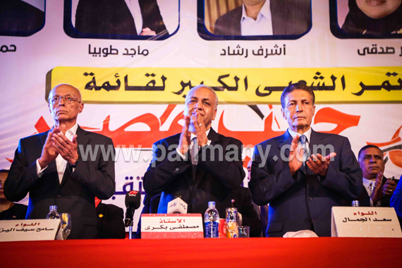 مؤتمر-في-حب-مصر-(2)
