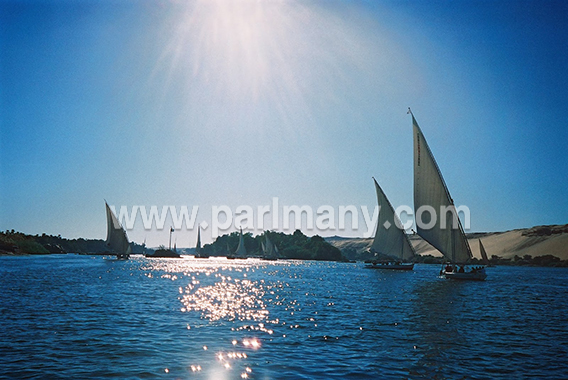 faluka-sailing-boats-on-the-Nile-near-Kitcheners-Island-Aswan-Egypt-SEW copy