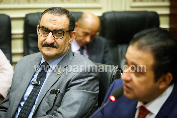أول اجتماع للجنة حقوق الإنسان بالبرلمان تحت رئاسة النائب علاء عابد (12) copy