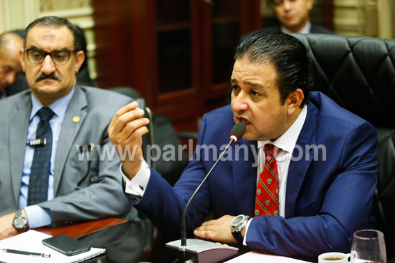 أول اجتماع للجنة حقوق الإنسان بالبرلمان تحت رئاسة النائب علاء عابد (5) copy