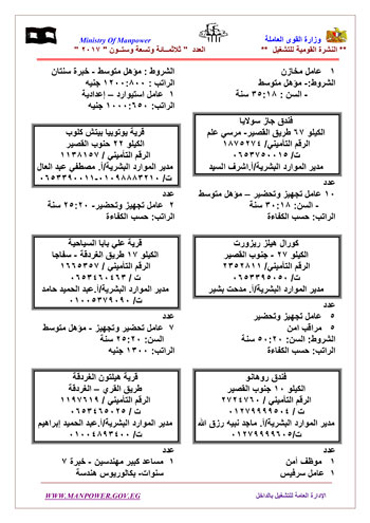 49640-ننشر-قائمة-كاملة-بـ-3315-فرصة-عمل-متوفرة-خلال-شهر-فبراير-13