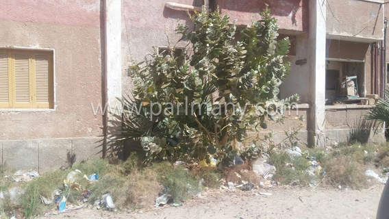 240862-الاهمال-والقاء-المخلفات-تهدد-سكان-أحياء-الخارجة--(11)