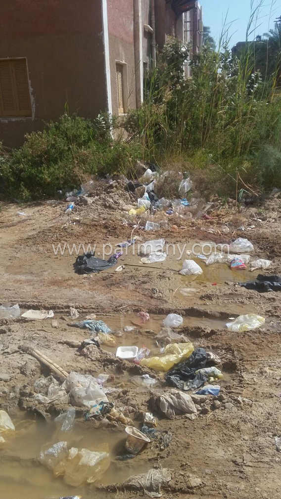 235807-الاهمال-والقاء-المخلفات-تهدد-سكان-أحياء-الخارجة--(12)