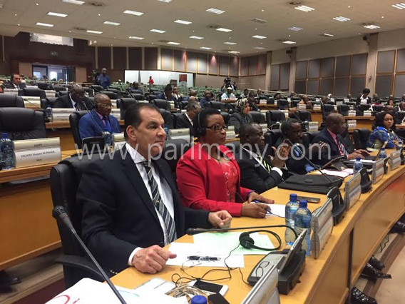 الجلسة العامة للبرلمان الأفريقى (5)