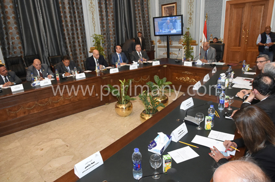 اجتماع اللجنة العامة بالبرلمان (1)