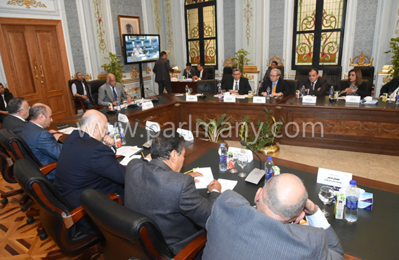 اجتماع اللجنة العامة بالبرلمان (7)