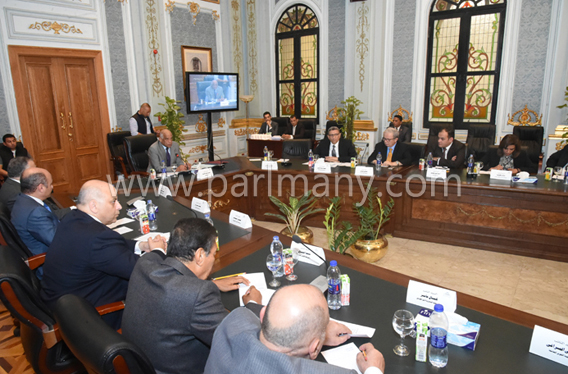 اجتماع اللجنة العامة بالبرلمان (5)