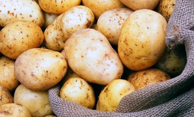 "وزارة الزراعة": استيراد 72 ألف طن تقاوى بطاطس خالية من الأمراض الحجرية