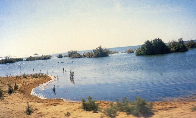 "برلمانى" ينشر السبب الرئيسى وراء وقف الصيد ببحيرة ناصر بأسوان