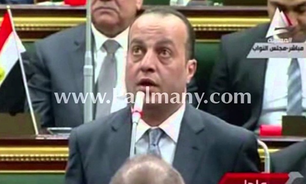 بالفيديو.. نائب الحسينية يطالب بإصدار قانون بتفسير الألوان فى العلم المصرى  