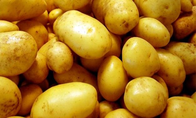 "الزراعة": طرح محصول البطاطس للعروة النيلية بالأسواق خلال أيام