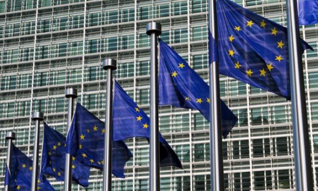 13 دولة أوروبية تنتقد دعوات ماكرون لمراجعة معاهدات الاتحاد الأوروبى