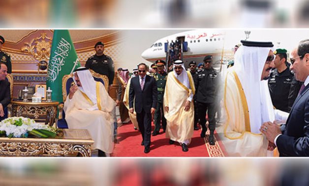 ‫عضو "حقوق الإنسان": زيارة الرئيس للسعودية تاريخية..ودليل على قوة العلاقة بين البلدين