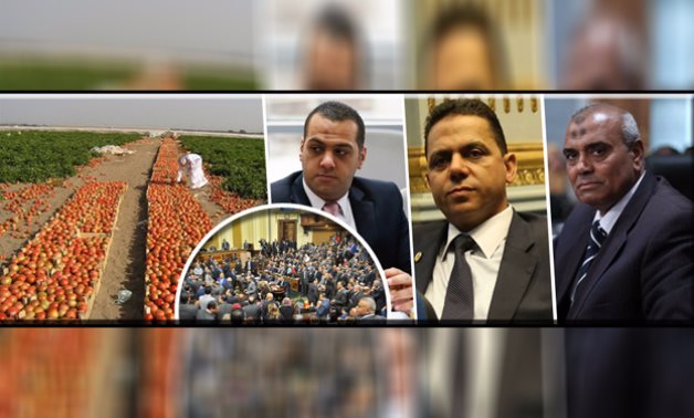 البرلمان يبارك تصدير الطماطم