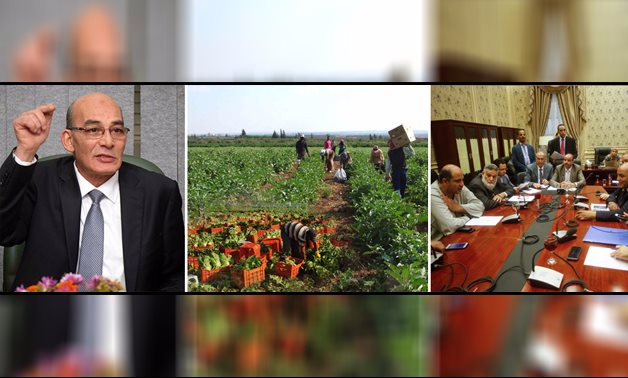 وزير الزراعة حملات قومية لزيادة إنتاج المحاصيل.. ونائب: "هو الوزير لسه فاكر.. كمل نوم"