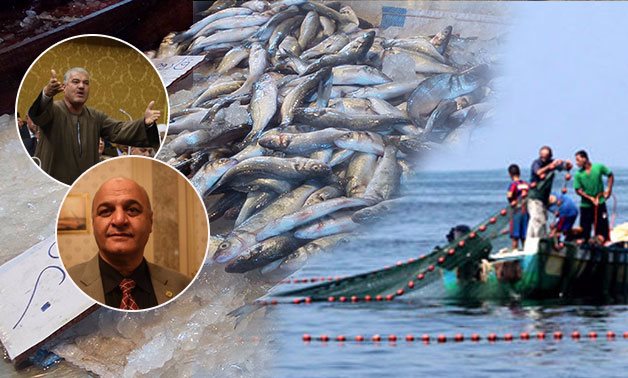 البرلمان يتدخل لإنقاذ الثروة السمكية