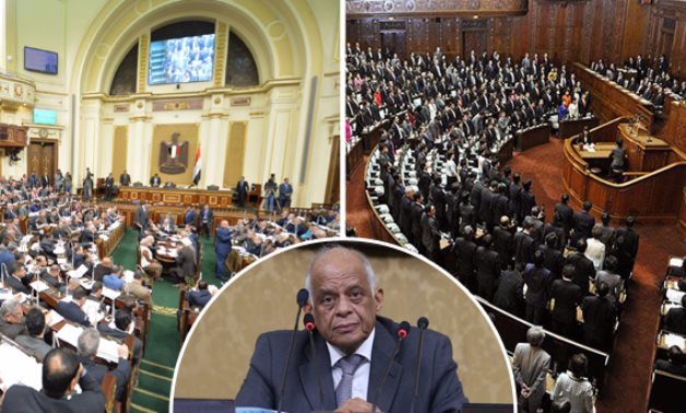 نواب اليابان يصفقون لبرلمان مصر 3 دقائق