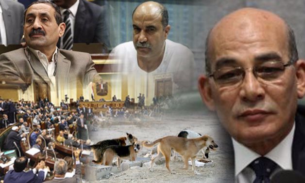 البرلمان يحاكم قتلة الكلاب