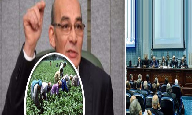 نائب برلمانى يطالب وزارة "الزراعة" بتطبيق حالة الطوارئ فى العيد لحماية الأراضى