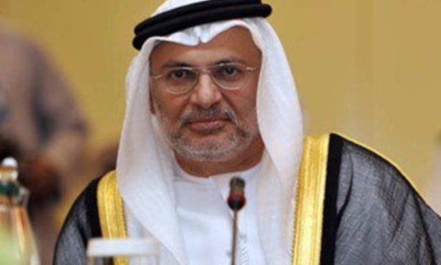 وزير الدولة الإماراتى: ثورة 30 يونيو محطة مهمة فى عودة التوازن لمصر