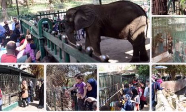 حديقة حيوان الجيزة: استقبلنا 30 ألف زائر حتى الآن.. ولا يوجد تحرشات