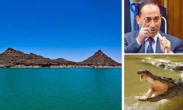 200 ألف تمساح يأكل الثروة السمكية ببحيرة ناصر